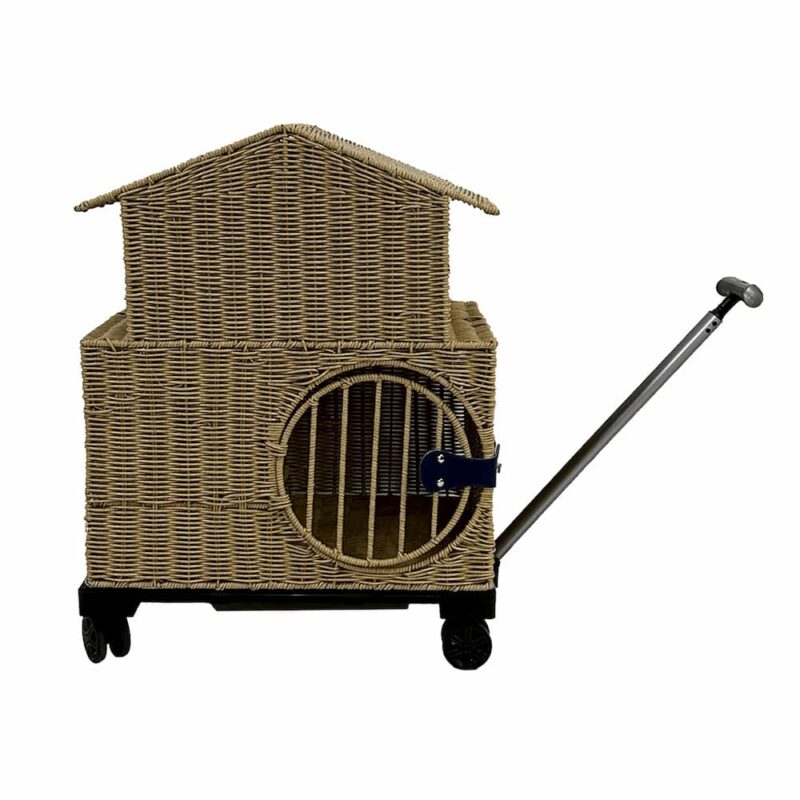 Pet Carrier, House Design Travel Suitcase