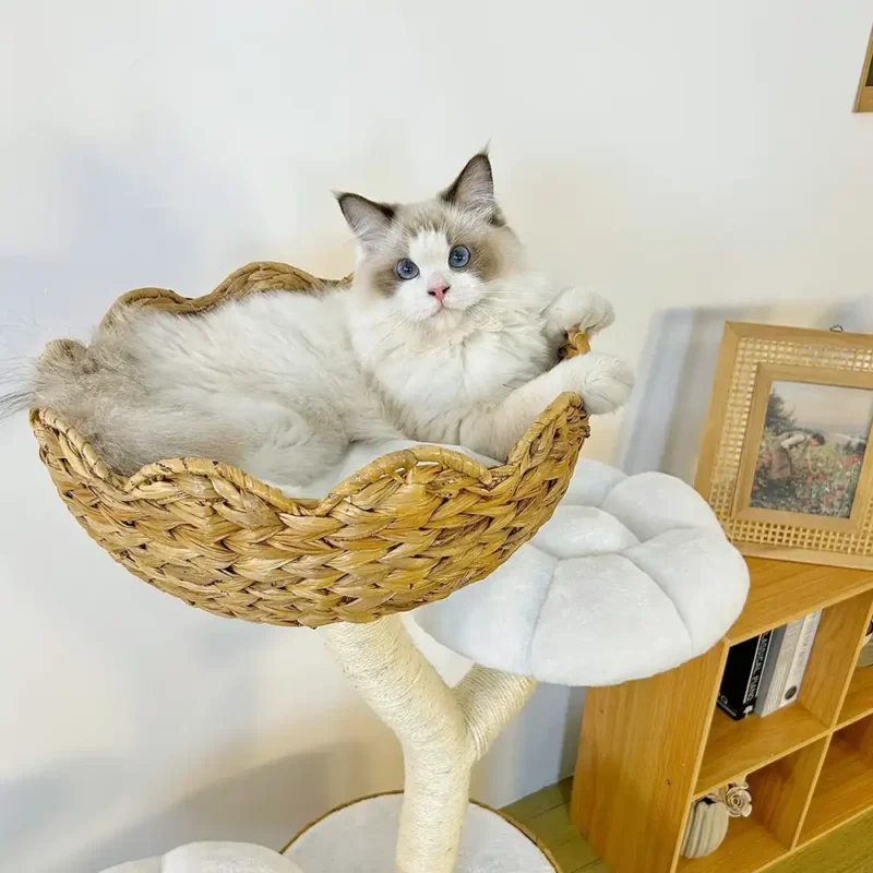 Wicker cat tree, Natural Material Flower Banana Leaf Woven - Image 5