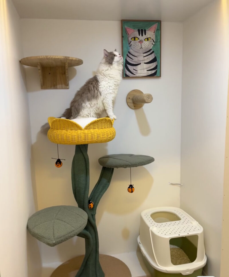 Tulip Design Cute Cat Climbing Frame Cat Nest Pet Supplies Cat Dwarf Cat Claw Grinder Cat Scratcher - Image 5