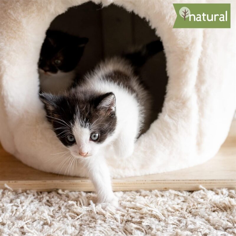 Durable cat tree and scratching post, cat house, solid wood cat house - Image 2