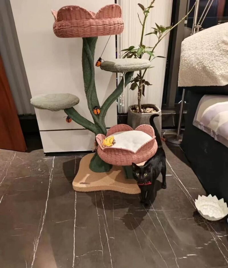 Fancy cat tree for large cats - Image 4